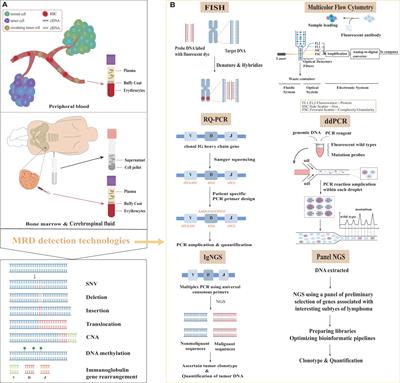 Minimal residual disease detection in lymphoma: methods, procedures and clinical significance